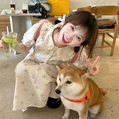 浪客扳手侠